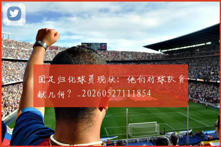 国足归化球员现状：他们对球队贡献几何？_20260527111854