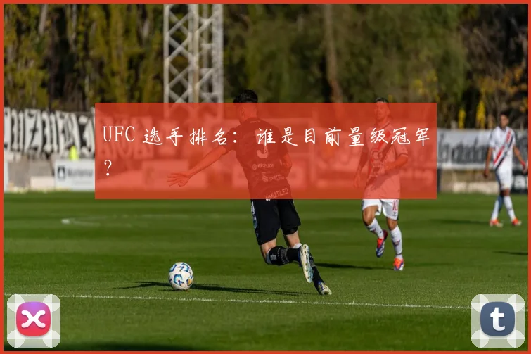 UFC 选手排名：谁是目前量级冠军？